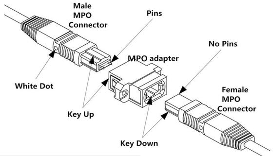 Saltatore a fibra ottica 2m (6ft) OS2 9/125 del fermaglio del cavo di MPO 24 singoli modi del centro