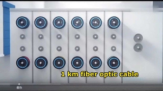 24 Cavi a fibra ottica
