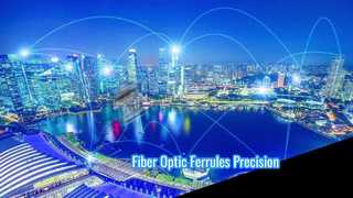 Connettori di precisione con puntali per fibra ottica