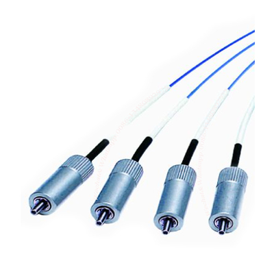 Strumento di elettroforesi capillare a fibra ottica