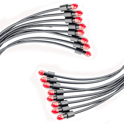 Strumento di elettroforesi capillare a fibra ottica