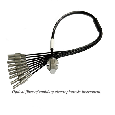 Strumento di elettroforesi capillare a fibra ottica