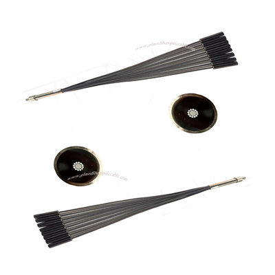 Fibra ottica Fibra laser al quarzo Fibra biochimica Fibra di trasmissione luminosa
