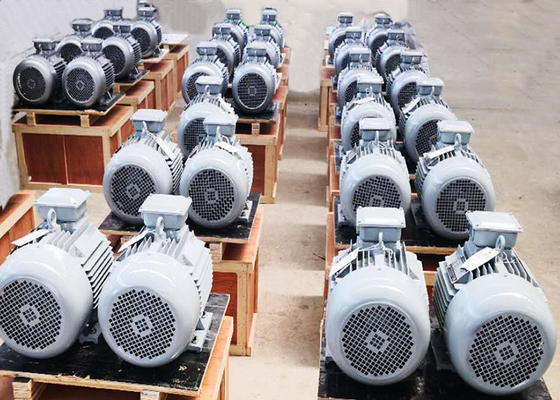 generatore sincrono 1KW 2KW 5KW 50KW 500KW5MW 20RPM del motore a magnete permanente di CA 3phase a 3000RPM